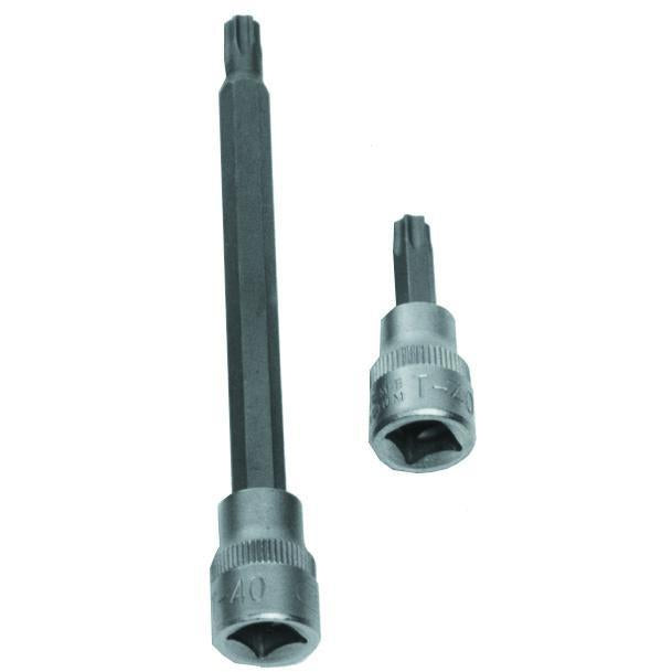 Bits top TXT25 x L55mm x 1/2